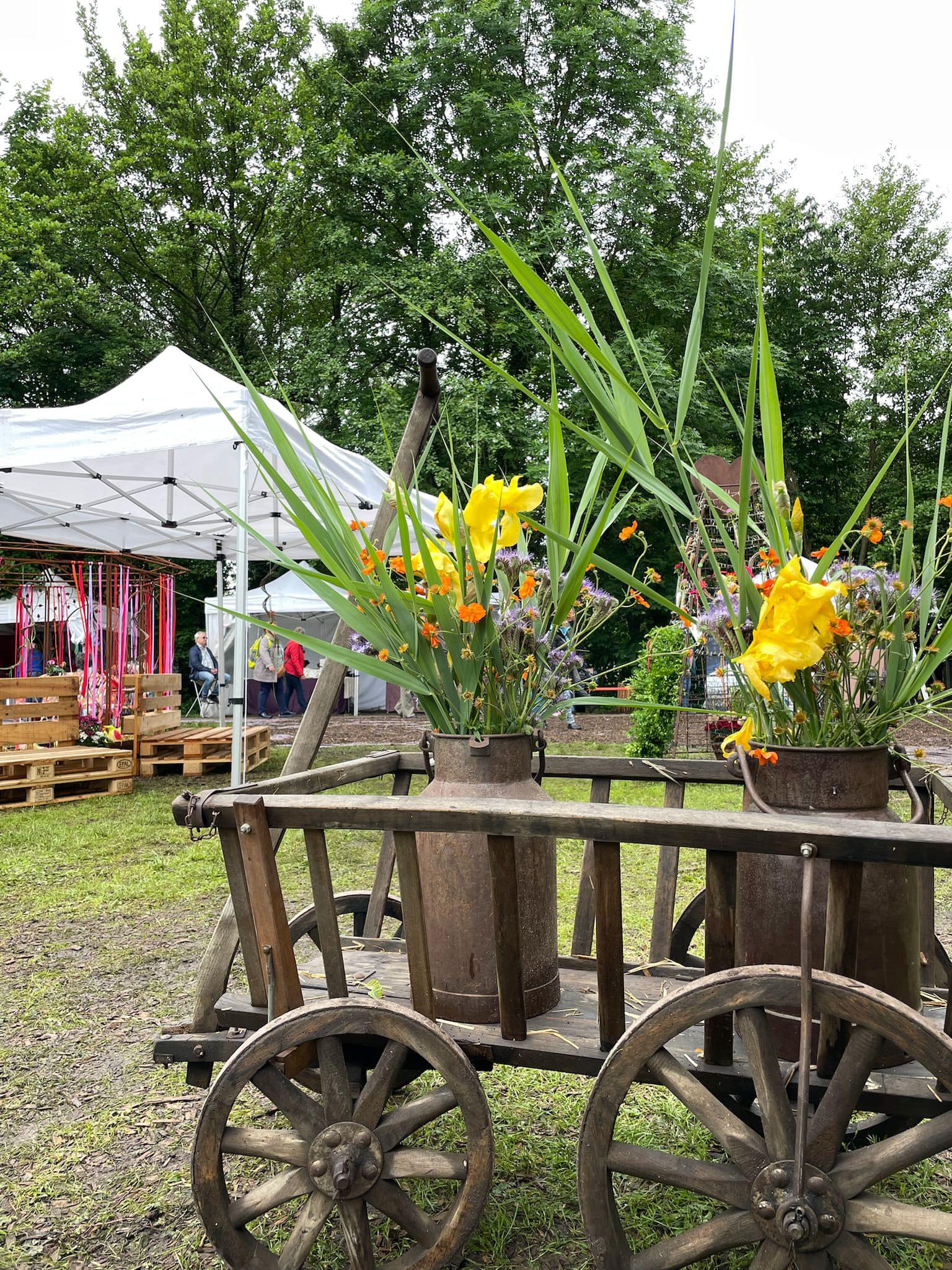 486642165_1137551731749309_1280335515130403428_n