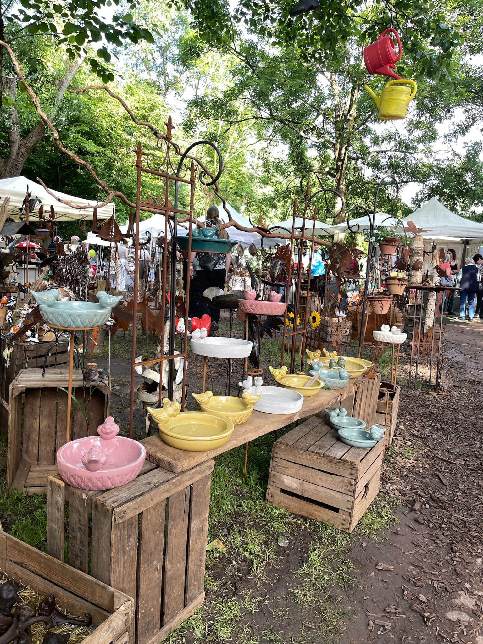 487297245_1137551738415975_7185756633282454167_n